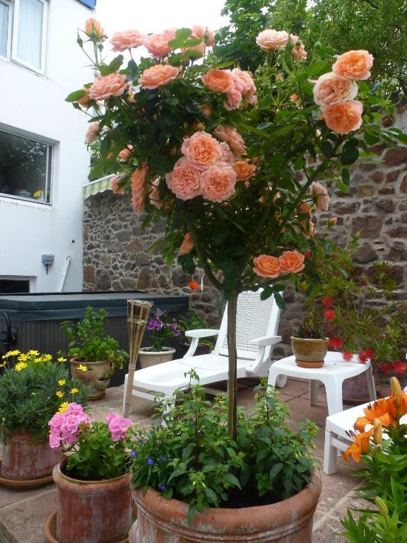Bayview Guest House Saint Helier Jersey Exterior foto